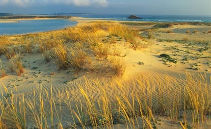 Parque natural de Corrubedo y lagunas de Carregal y Vixán, en A Coruña.