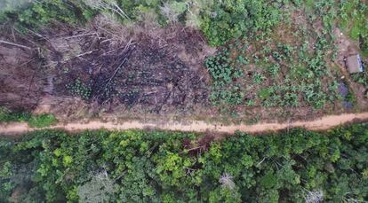 Primeras imgenes tomadas por el dron: deforestacin y carreras ilegales