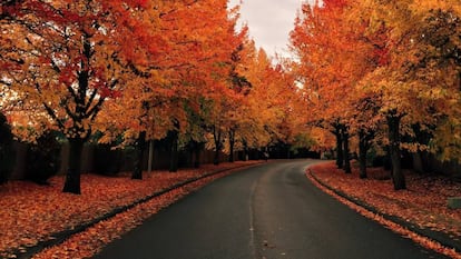 Rutas para despedir el otoño y aguantar el frío