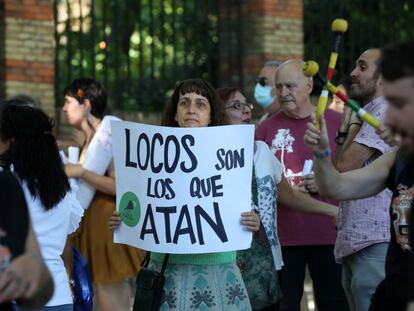 Manifestaciones Orgullo Loco