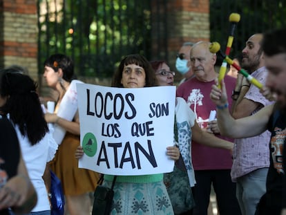 Una activista en la manifestación del Orgullo Loco en Madrid, el sábado.