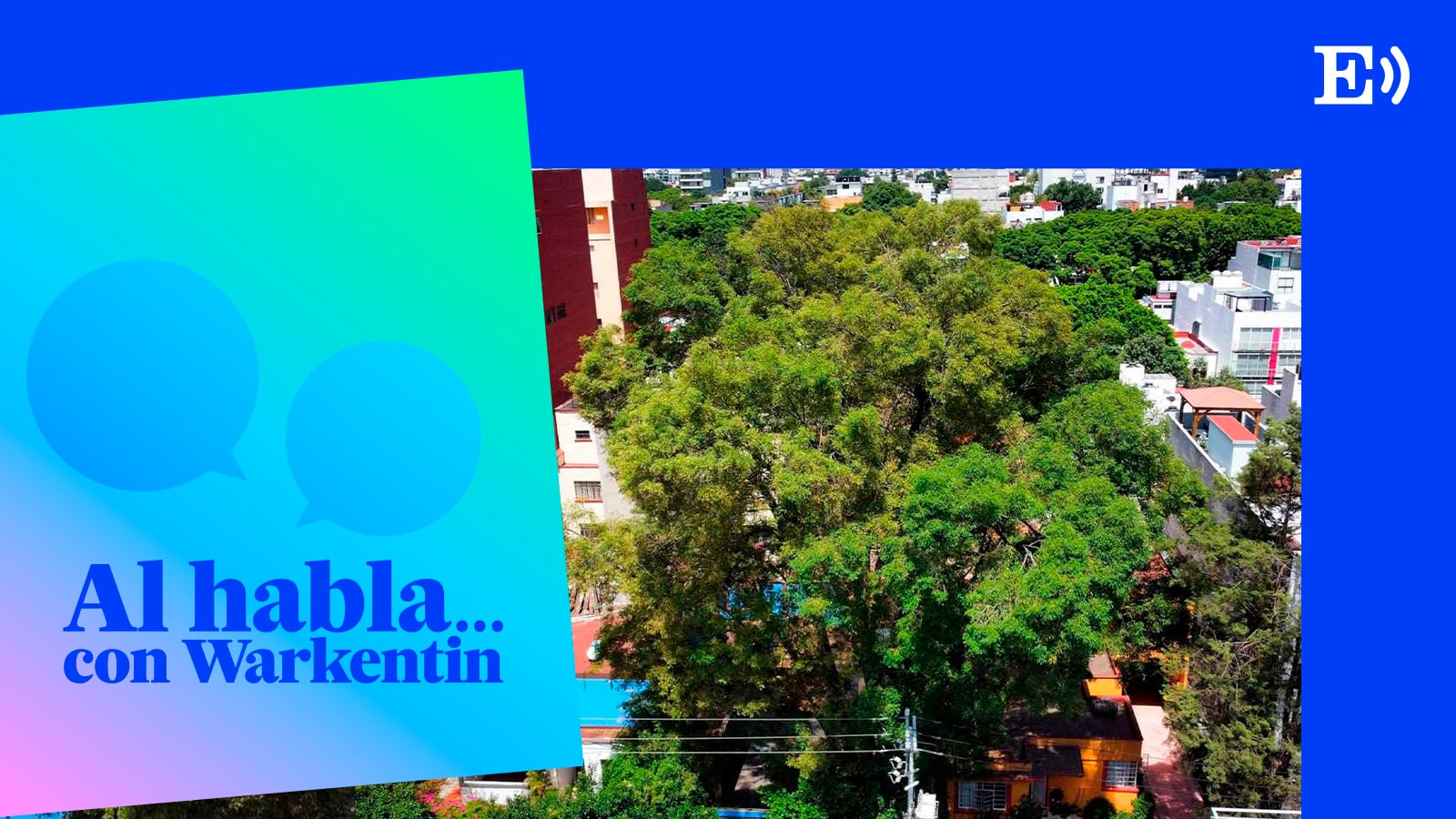 Una iniciativa de Ciudad de México para preservar los árboles: “Dejemos de verlos como adornos”