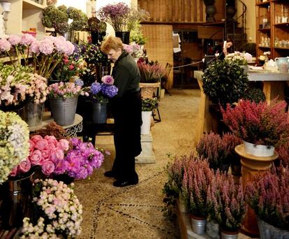 <b>EL GUSTO POR LAS FLORES</b></br></br>En una antigua carbonería nació hace 16 años esta floristería. De unos 120 metros, es tienda y taller, y dispone de un local anexo con ornamentos de jardín. Jacintos, lirios, margaritas y demás eminencias verdes pasan por esta nave que basa su negocio floral en encargos y regalos. Tulipanes subastados de madrugada en Holanda llegan a este otro lugar del mapa en camión en cuestión de horas. » Blanca de Navarra, 6. 913 19 86 59 y 913 19 85 13.