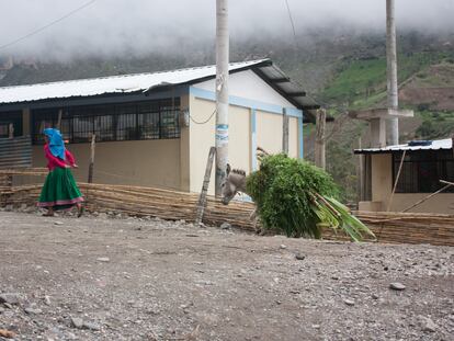 Una mujer camina por la calle en Nizag, Chimborazo (Ecuador).