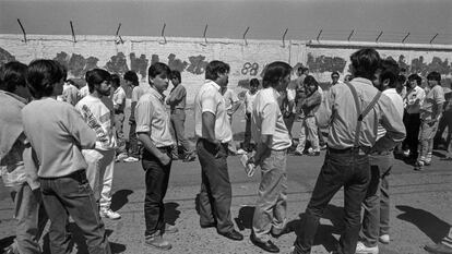 Las fotos del plebiscito en Chile contra Pinochet