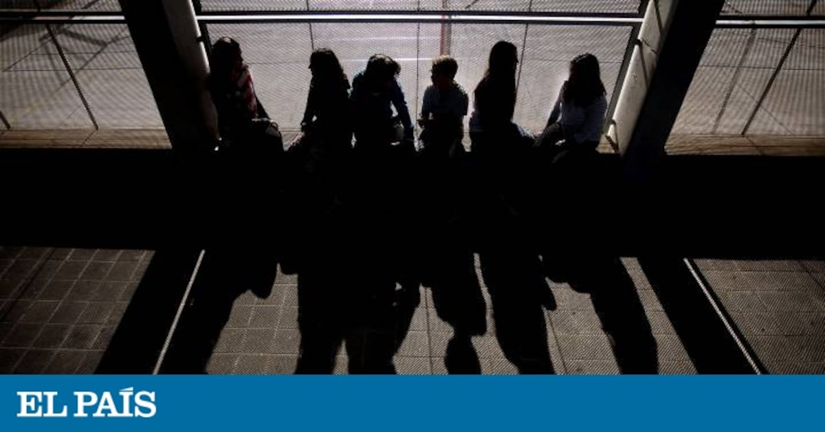 Educación Detecta 5 557 Posibles Casos De Acoso Escolar En Un Año