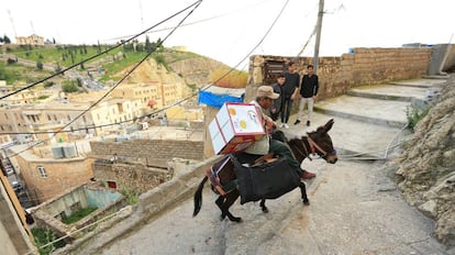 Un hombre carga una caja sobre un burro en la localidad de Akra, en el kurdistán iraquí.