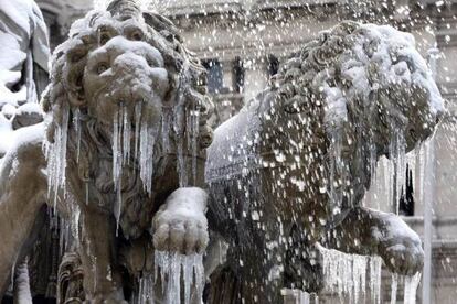 Los leones de la fuente de La Cibeles.