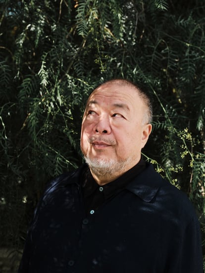 Ai Weiwei