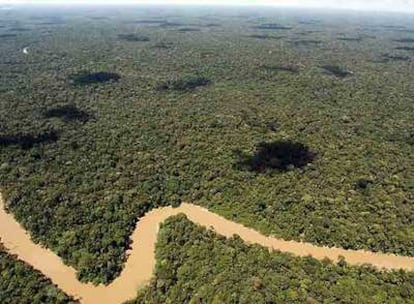 Frontera norte del Parque Nacional <i>Yasuní</i> de Ecuador, una de las zonas de mayor biodiversidad del planeta