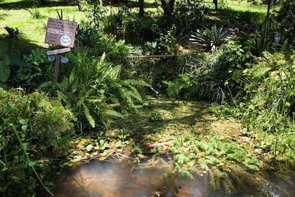 O lago das cabritas é mais uma das nascentes do córrego Água Preta. Construído pelo coletivo Hezbolago, ele fica na Rua Bárbara Heliodora