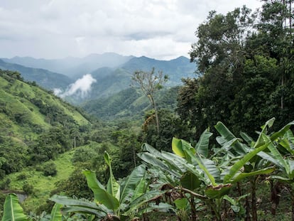 Vista panorámica de un valle en Boyacá (Colombia).