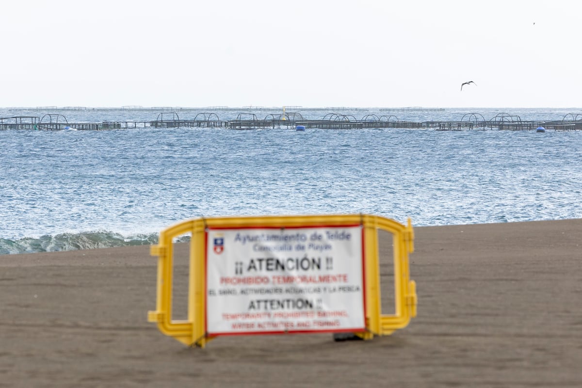 Cierre de playas en Gran Canaria por muerte masiva de peces