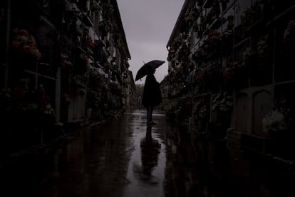 Un hombre visita el cementerio San Rafael de Córdoba durante el Día de Todos los Santos, una fiesta católica para reflexionar sobre los santos y los familiares fallecidos.