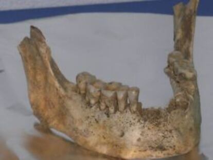 Restos de una mandíbula de 'homo sapiens' hallados en la cueva de Santimamiñe.