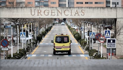 Picadura de escorpión Alcorcón