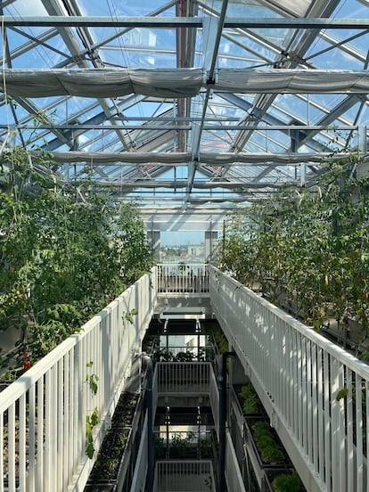 Interior del edificio con campos apilados.