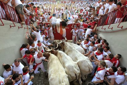 Imagen del caos creado a la entrada de la plaza de toros de Pamplona donde los mansos de cola se han encontrado la puerta de acceso cerrada tras morir otro manso después de chocar contra un poste de madera a la entrada de los corrales de la plaza. El tercer encierro de los sanfermines ha resultado rápido y muy peligroso, al quedar un toro suelto en cabeza ya desde el primer tramo del recorrido.