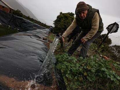 Custorio Valerio inspecciona la calidad del agua en su granja, en Valparaíso, Chile, el 22 de junio 2024.