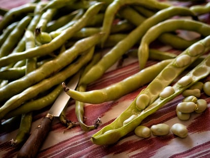 Preparando un buen plato de habas.