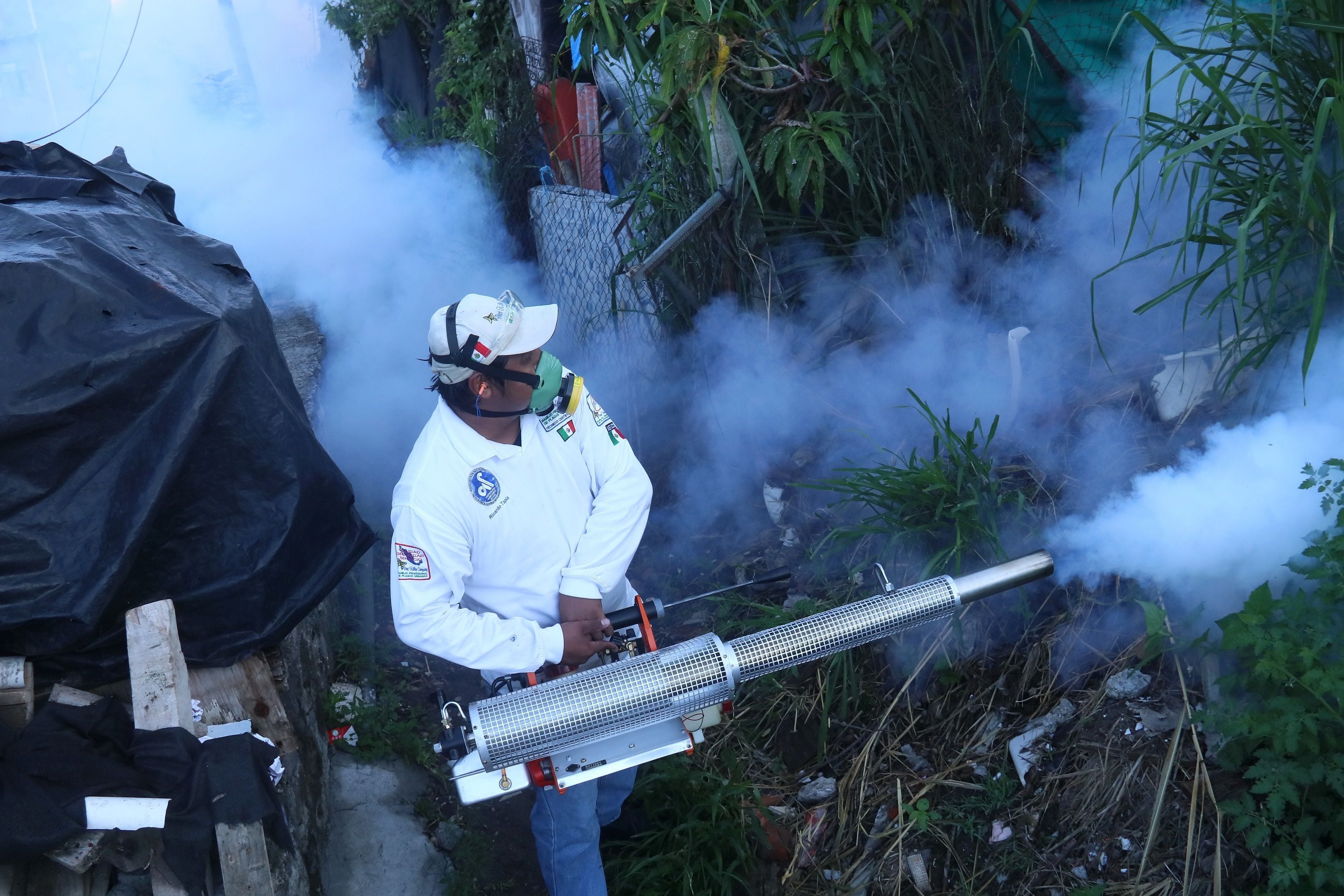 El avance imparable del dengue en México: el virus estalla en Nuevo León y Jalisco