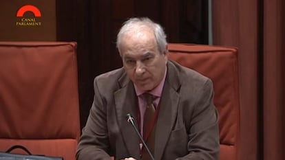 Ramon Pedrós, durant la compareixença al Parlament.