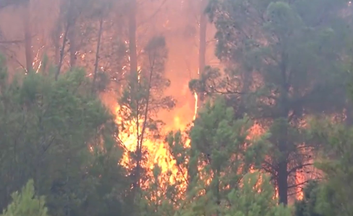 El alcalde de Tuéjar, ante el incendio que avanza tras quemar 700 hectáreas: “Son estos montes los que limpian el aire de la ciudad”