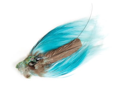 Sarah Jessica Parker, Sex in the City & Just Like That, Vintage Taxidermied Bird of Paradise Headpiece.