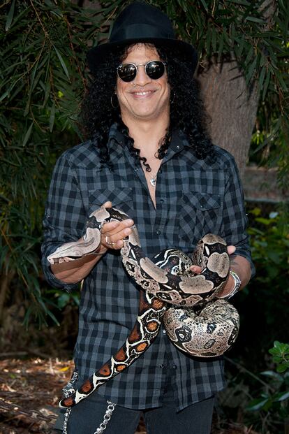 Slash.

El mítico guitarrista de Guns N’ Roses llegó a poseer en su mansión cerca de un centenar de reptiles, lagartos y cocodrilos, entre los que destacaban boas constrictor, pitones y anacondas. Una afición de la que asegura que empezó a deshacerse cuando decidió formar una familia.