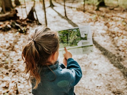 Una niña consulta en un papel el plano de un bosque.