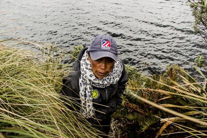 Estela Paspuezán inspecciona los alrededor de una laguna situada en la Reserva Ecológica El Ángel. Debido a la abundancia hídrica de esta, uno de los principales trabajos de los guardias ambientales es la custodia de las fuentes de agua.