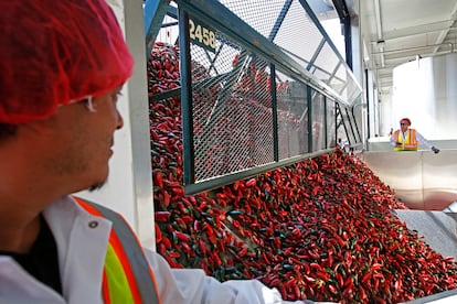 Un camión descarga chiles rojos en la fábrica de Huy Fong Foods, en Irwindale, California.