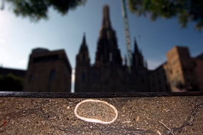 Erizo de Eoceno, de hace 55 millones de a?os, en uno de los bancos de piedra negra que hay frente a la catedral de Barcelona.