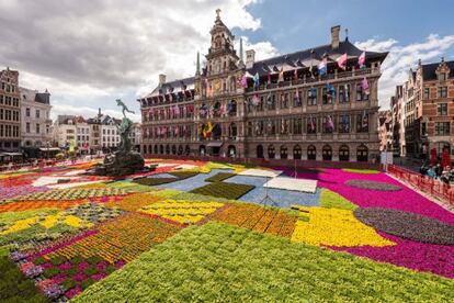 Alfombra creada con más de 173.000 flores y plantas frente al Ayuntamiento de Amberes (Bélgica)