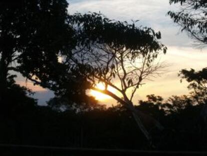 Atardece en la selva.