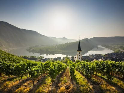 Los viñedos de los alrededores de la localidad alemana de Bremm, en el valle del Mosela.