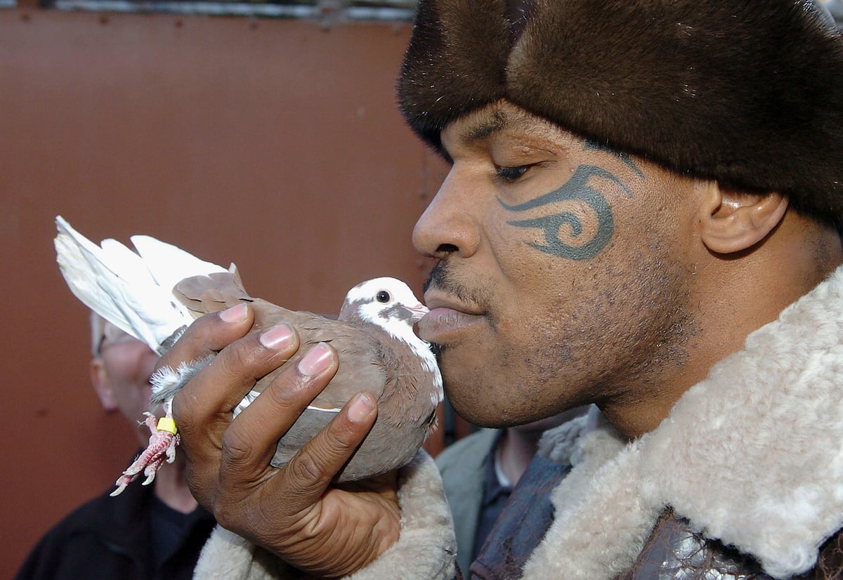 Tyson Sued Over Talking Pigeon Ad