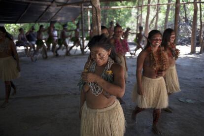 Para las etnias amazónicas esparcidas a lo largo del Río Negro y sus afluentes, la danza es uno de los elementos más importantes de su cultura. Casi todos los acontecimientos sociales importantes van acompañados de baile. En la actualidad, es un reclamo para los turistas que visitan sus aldeas y un método de subsistencia. Entre los bailes más importantes del pueblo desano destacan el japurutu, cariço, da cabeça do veado y la kaapiwaya.