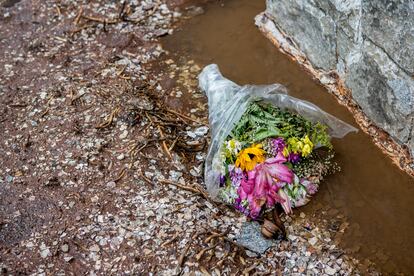 Flores em uma solitária homenagem ao bandeirante.