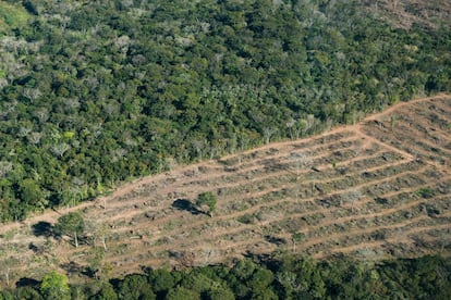 Deforestación de tierras en el estado de Mato Grosso do Sul en Brasil