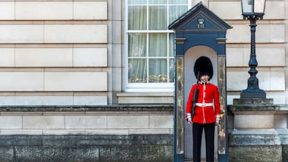 El reto de volver a empezar a aprender otro idioma