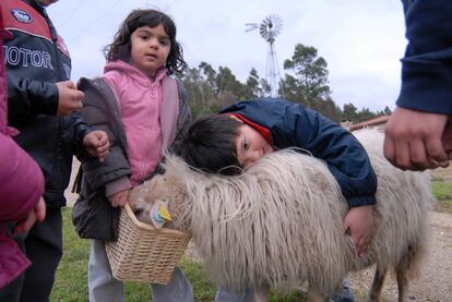 Un grupo de niños alimenta y acaricia a una de las ovejas de la <i>ecoescola</i> de Aldea Nova, en Narón.