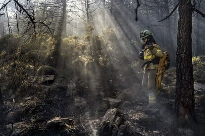 Según un informe 2018 de Greenpeace, el 80% de los municipios nacionales no tienen planes de emergencia local (como obliga la directriz básica de protección civil) y hay ausencia generalizada de planes preventivos (como obliga la ley de Montes). En la imagen, un agente de la BRICA de Granada del dispositivo Infoca (Incendios Forestales de la Comunidad de Andalucía) trabaja en la extinción del incendio forestal en Jubrique, Málaga.