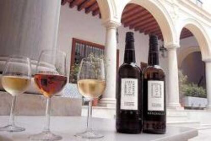 Jerez busca alianzas en la defensa de los vinos de origen