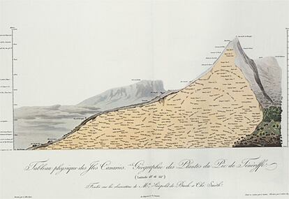 En su estancia en Tenerife, de camino a América, Humboldt realizó una ascensión al Teide que sería fundamental para establecer su posterior 'Geografía de las Plantas'. En su boceto del volcán se ve la primera distribución que hizo de las plantas según la altitud.