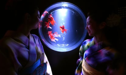 'Eco Edo Nihombashi Art Aquarium 2014', una exposición en la que se pueden ver peces de colores, en Tokio, Japón.