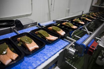 Isidro 1952 comercializa bandejas de pescado crudo con salsa preparadas para ser cocinadas en poco tiempo.