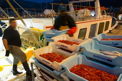 Pescadores de gamba roja en la lonja de la ciudad de Palma.