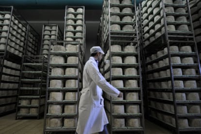 Fábrica de queso gorgonzola en Abbiategrasso, en la provincia de Milán, una de las más dinámicas de Italia.