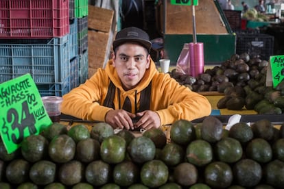 México es el país productor de aguacate número uno del mundo. Un tercio del total es suyo. La mitad de la producción nacional se destina a la exportación. Estados Unidos es su principal cliente; nueve de cada diez aguacates consumidos allí son de origen mexicano. En la foto, un vendedor de aguacates de Michoacán, el primer estado productor del fruto del país.  
